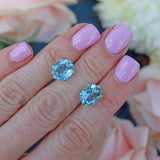 Ellibelle Jewellery Aquamarine White Gold Oval Stud Earrings