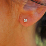 Ellibelle Jewellery Diamond & 18ct Gold Stud Earrings (0.30cts)