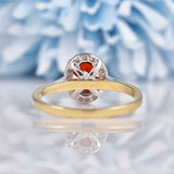 Ellibelle Jewellery Garnet & Diamond 9ct Gold Halo Ring