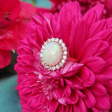 Ellibelle Jewellery Vintage 1972 Opal & Diamond 18ct Gold Oval Cluster Ring