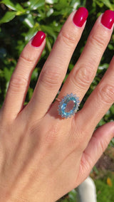 Aquamarine & Diamond 18ct White Gold Oval Cluster Ring (4.04ct)
